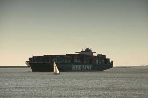 Frachtschiff im Sonnenuntergang auf der Elbe vor Brokdorf