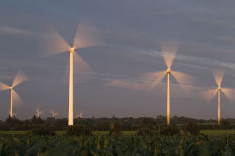 Langzeitbelichtung mit Windkraftanlagen hinter einem Maisfeld