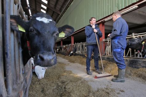 Auf dem Hof von Hans Peter Tramsen