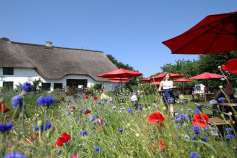 Das Galerie-Cafe Richhardshof in St. Peter-Ording ist gleichzeitig auch ein Hofcafe