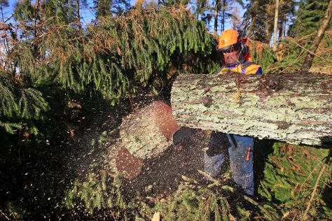 Sturmtief "Christian" hinterlässt schwere Schäden in den Forsten